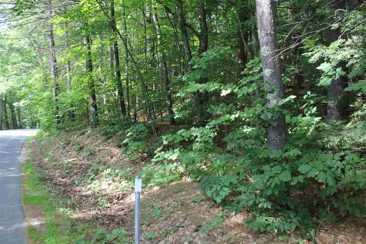 South Road Newbury, NH 03255 - Photo 5 of 6