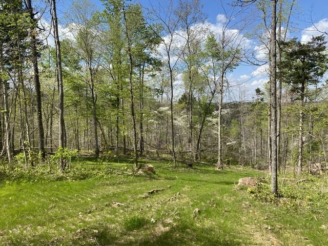 6000 Greenbriar Road Breeding, KY 42715 - Photo 22 of 29 Gallery Image 22