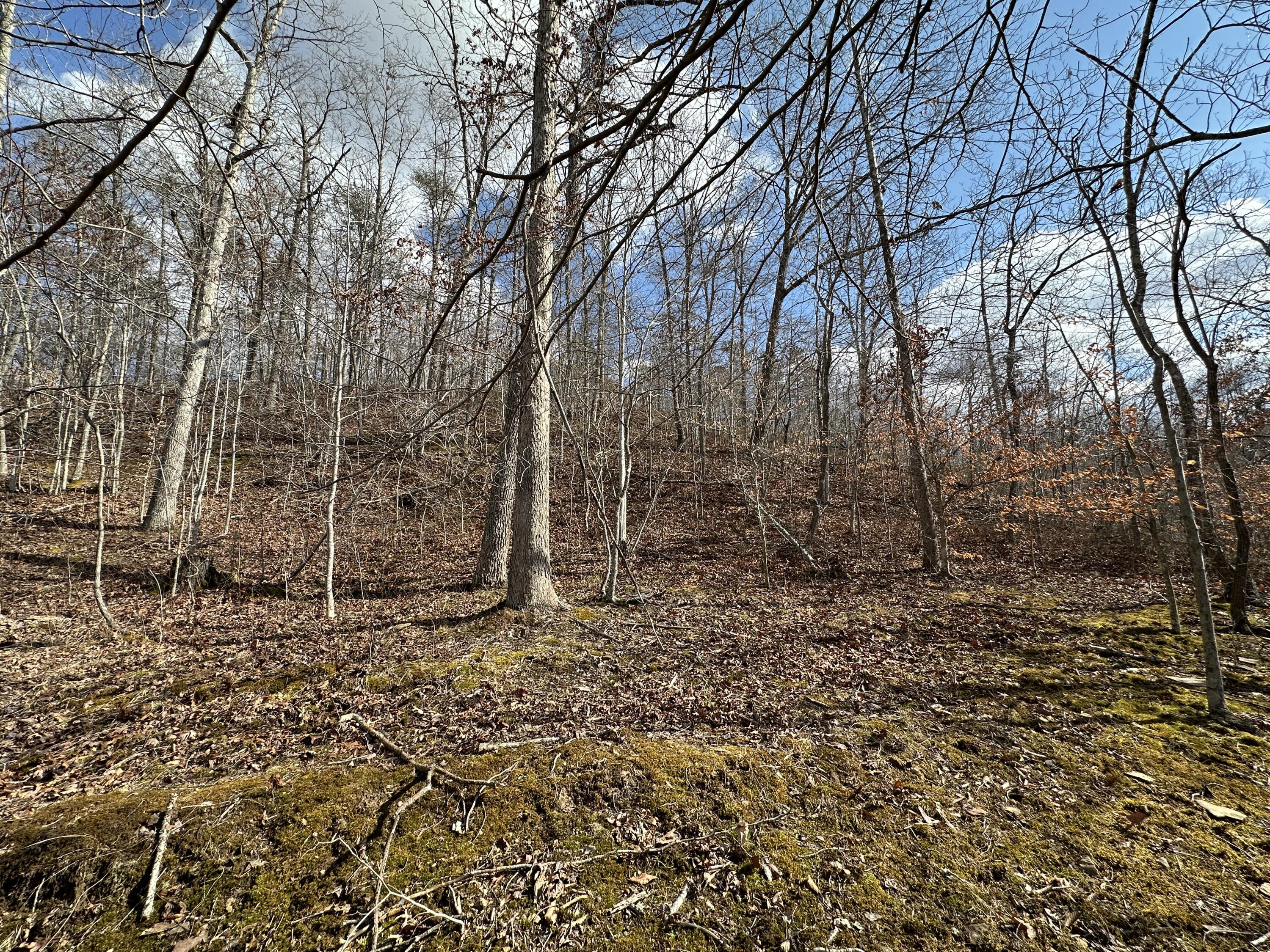 11 Williams Creek Road Rush, KY 41168 - Photo 29 of 42 28