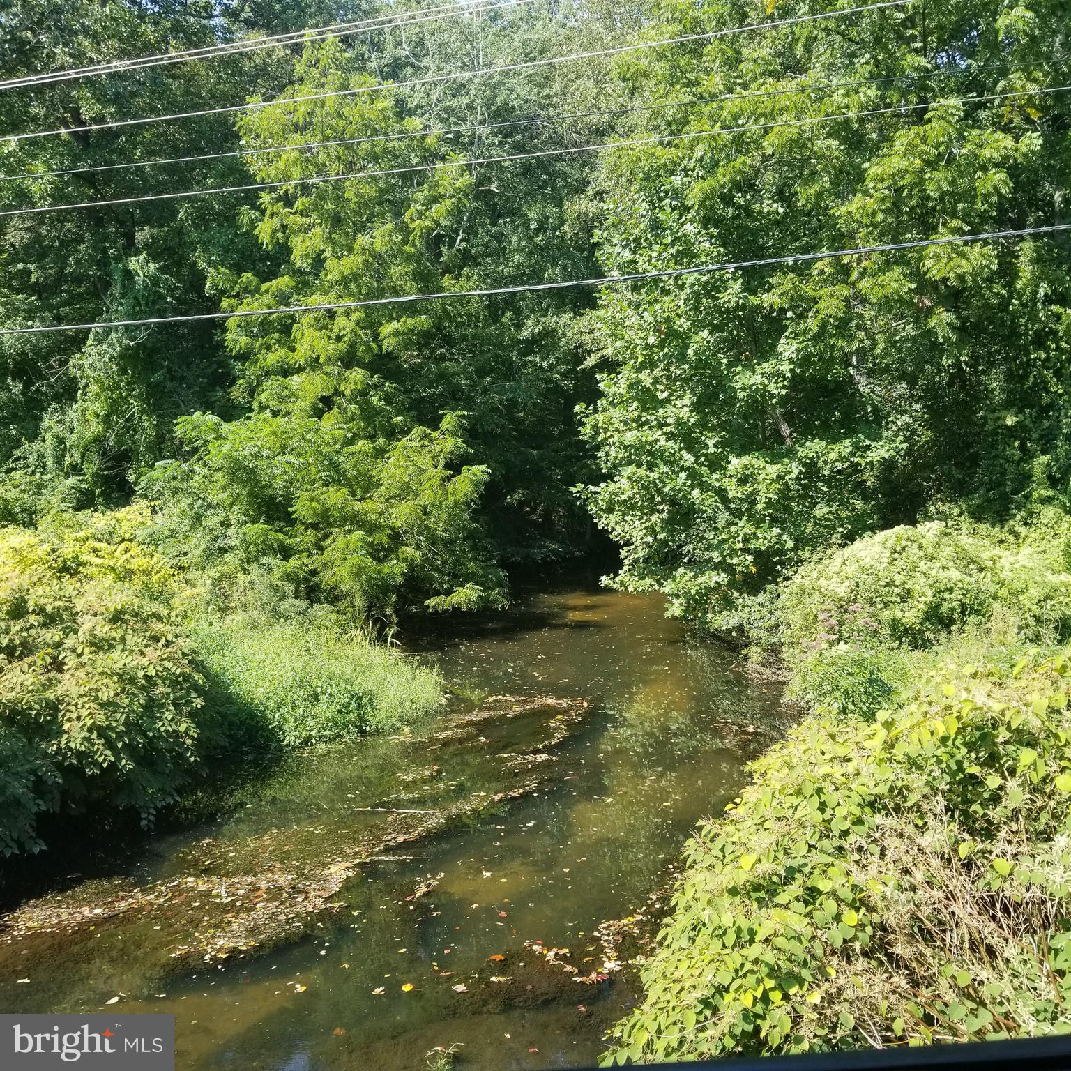 Greensboro Road Denton, MD 21629 - Photo 2 of 8 a view of a forest