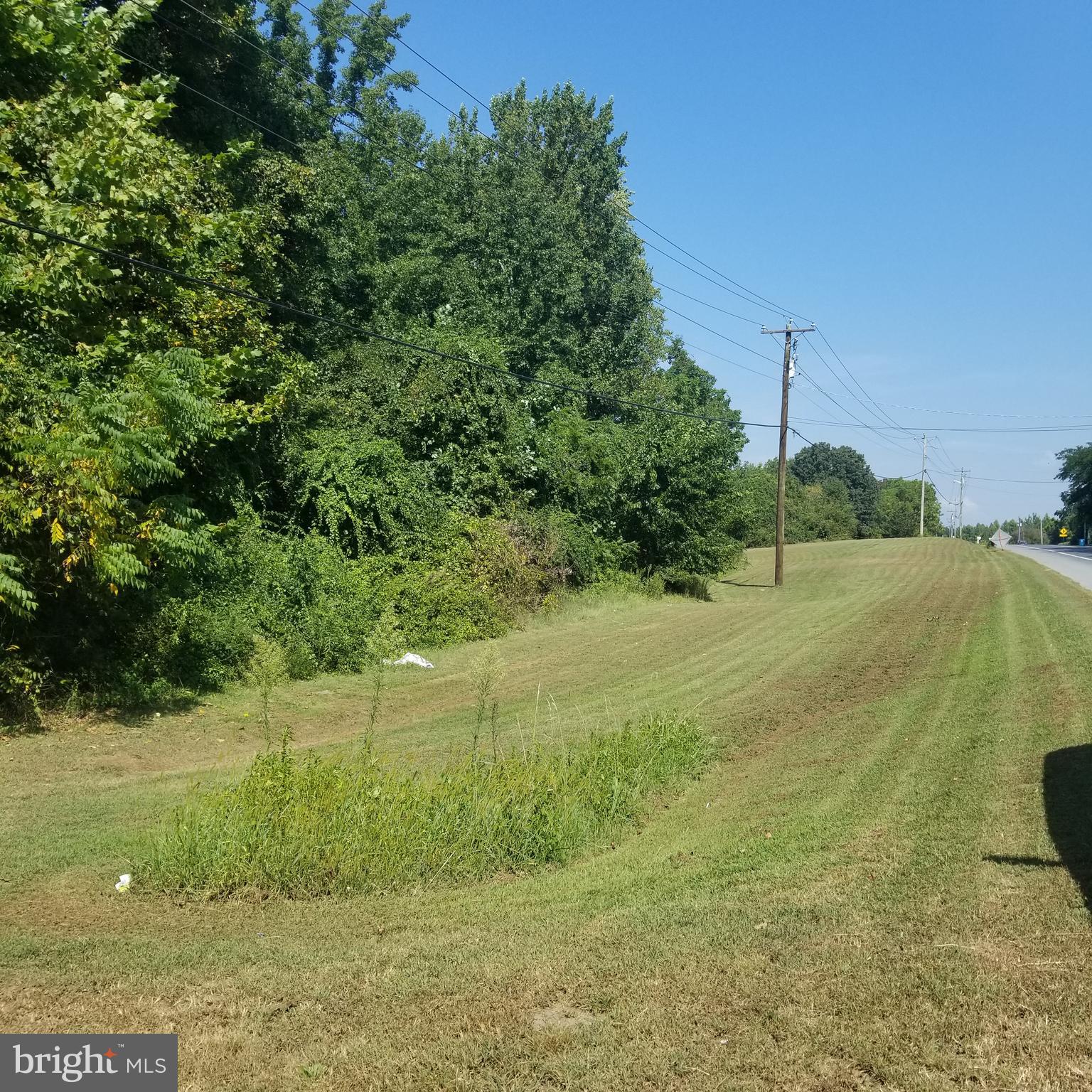 Greensboro Road Denton, MD 21629 - Photo 3 of 8 a view of an outdoor space and a yard