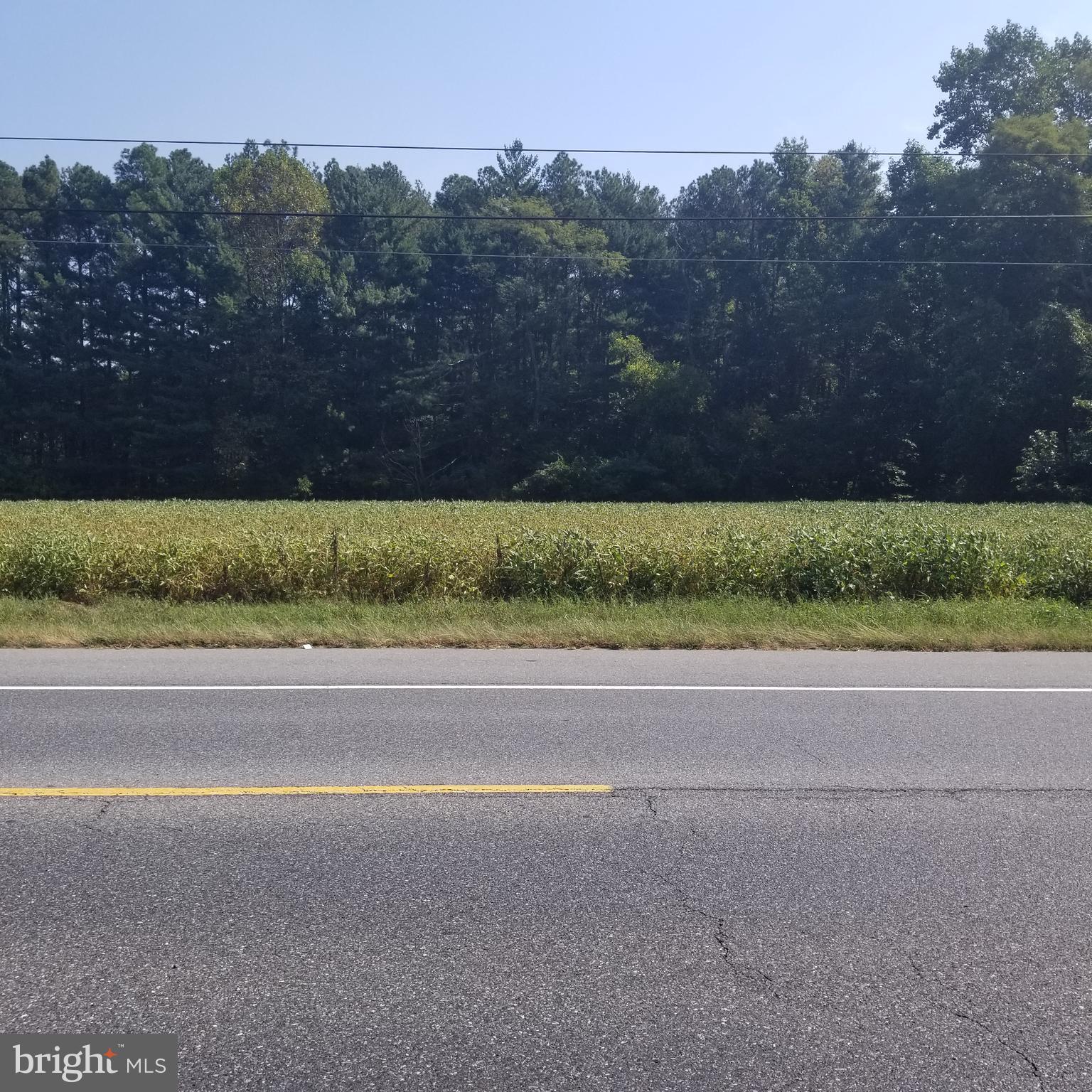 Greensboro Road Denton, MD 21629 - Photo 6 of 8 a view of a yard