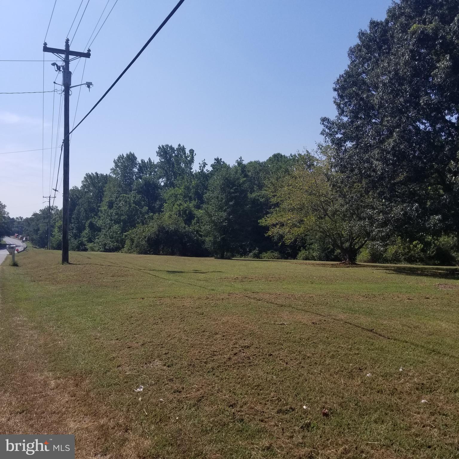 Greensboro Road Denton, MD 21629 - Photo 7 of 8 a view of a field with an trees