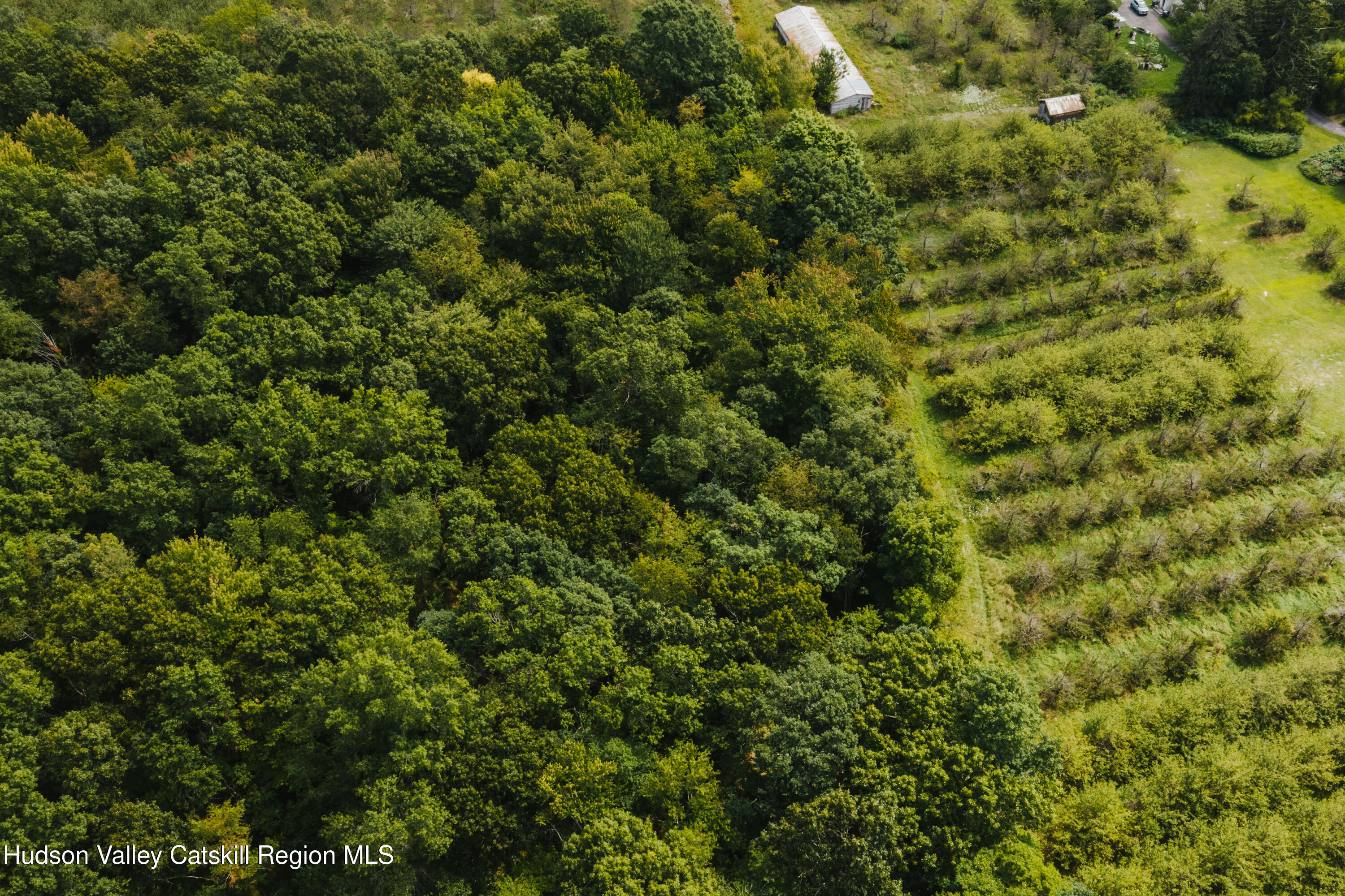 Tbd Plattekill Ardonia Road Wallkill, NY 12589 - Photo 22 of 25 ardonia-14