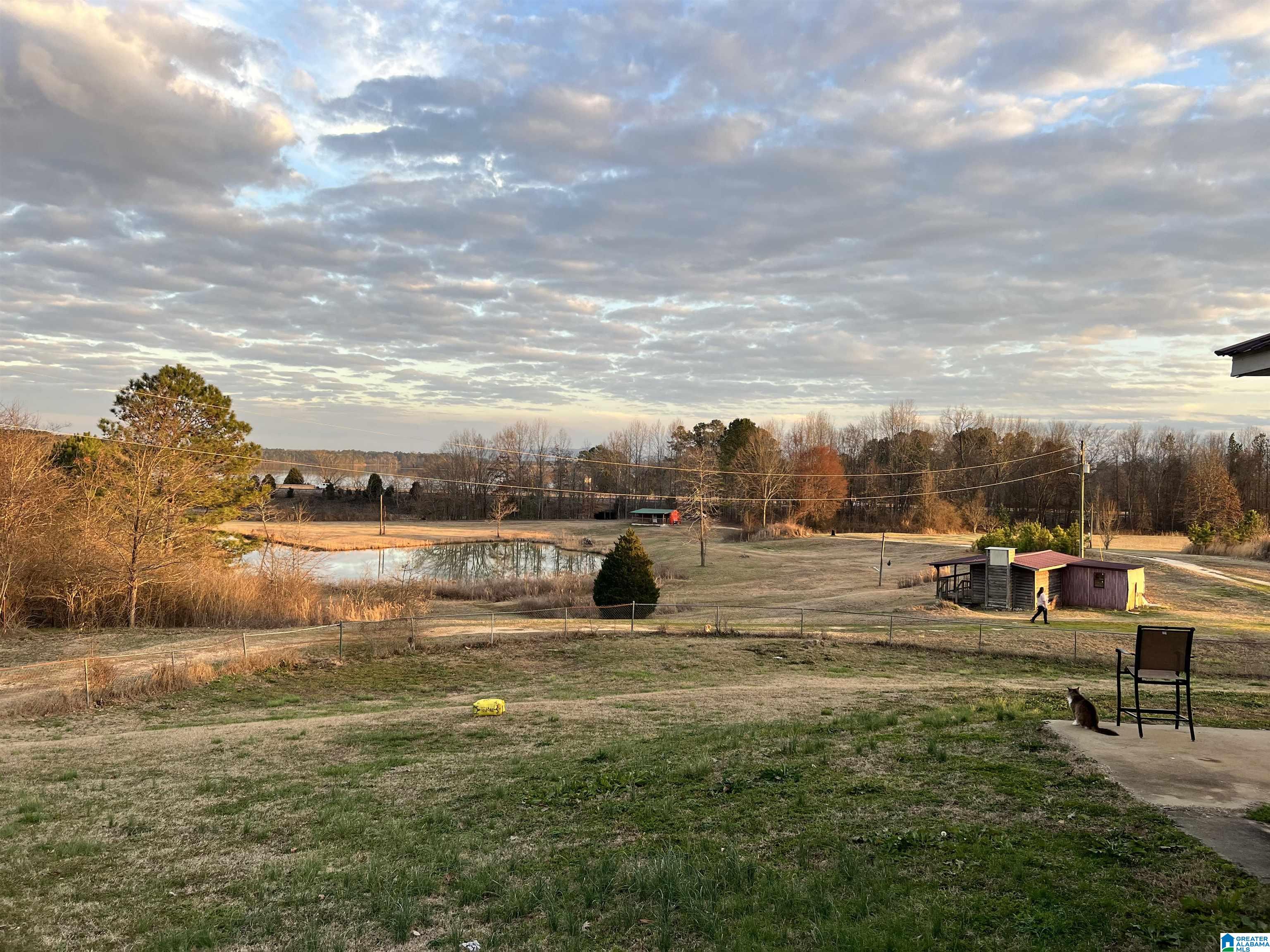 320 Deer Run Road Leesburg, AL 35983 - Photo 17 of 54