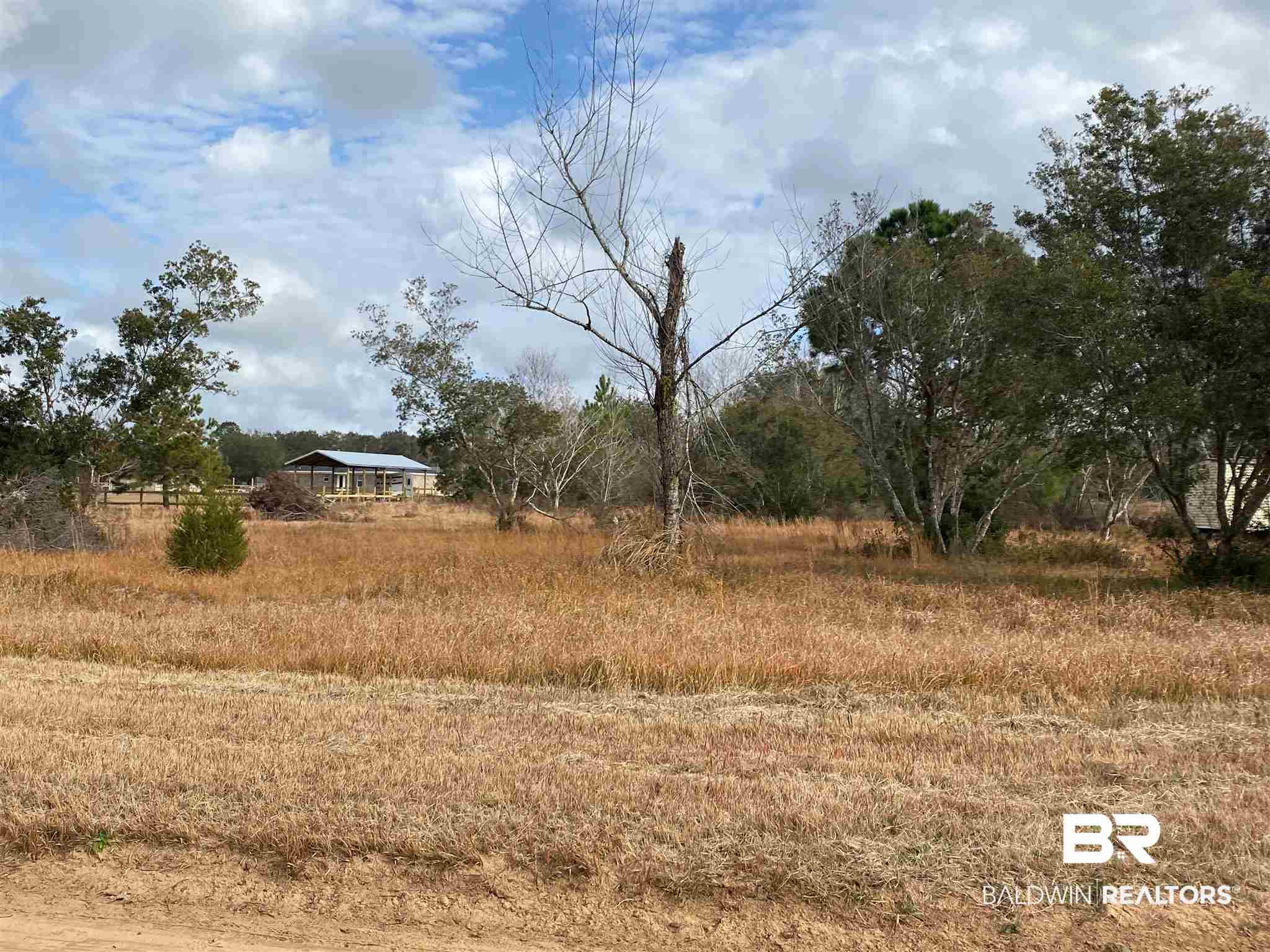 0 East Ranch Road Grand Bay, AL 36541 - Photo 3 of 3
