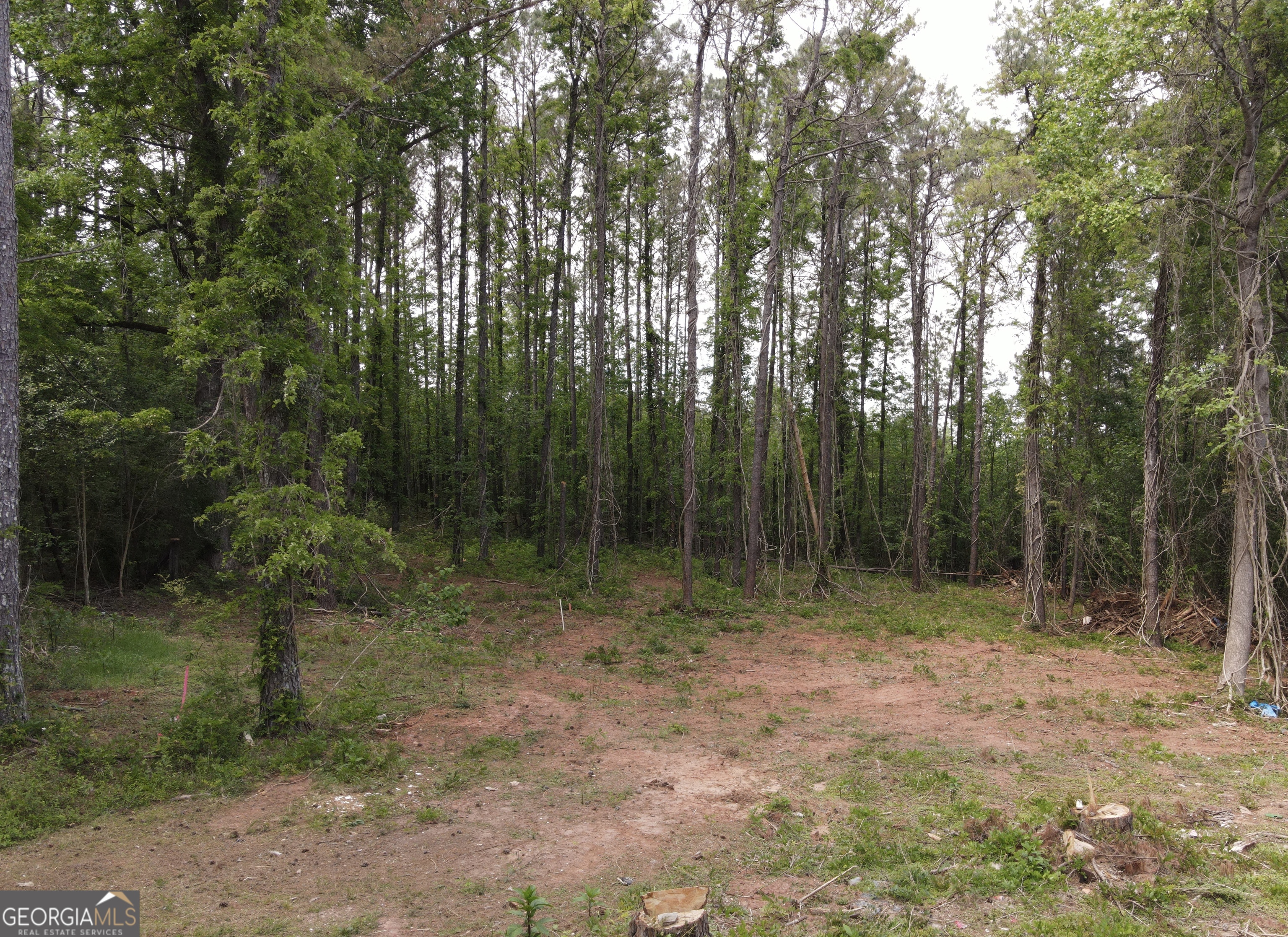 135 Chase Road LaGrange, GA 30241 - Photo 20 of 20 a view of outdoor space and trees