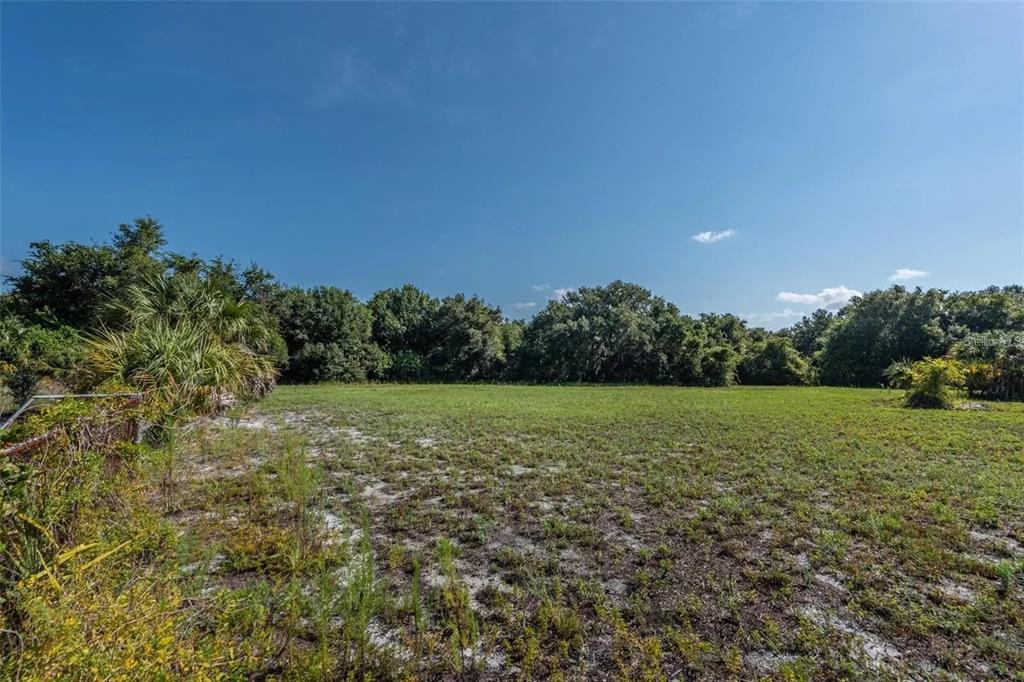 12154 Bullfrog Creek Road Gibsonton, FL 33534 - Photo 10 of 23