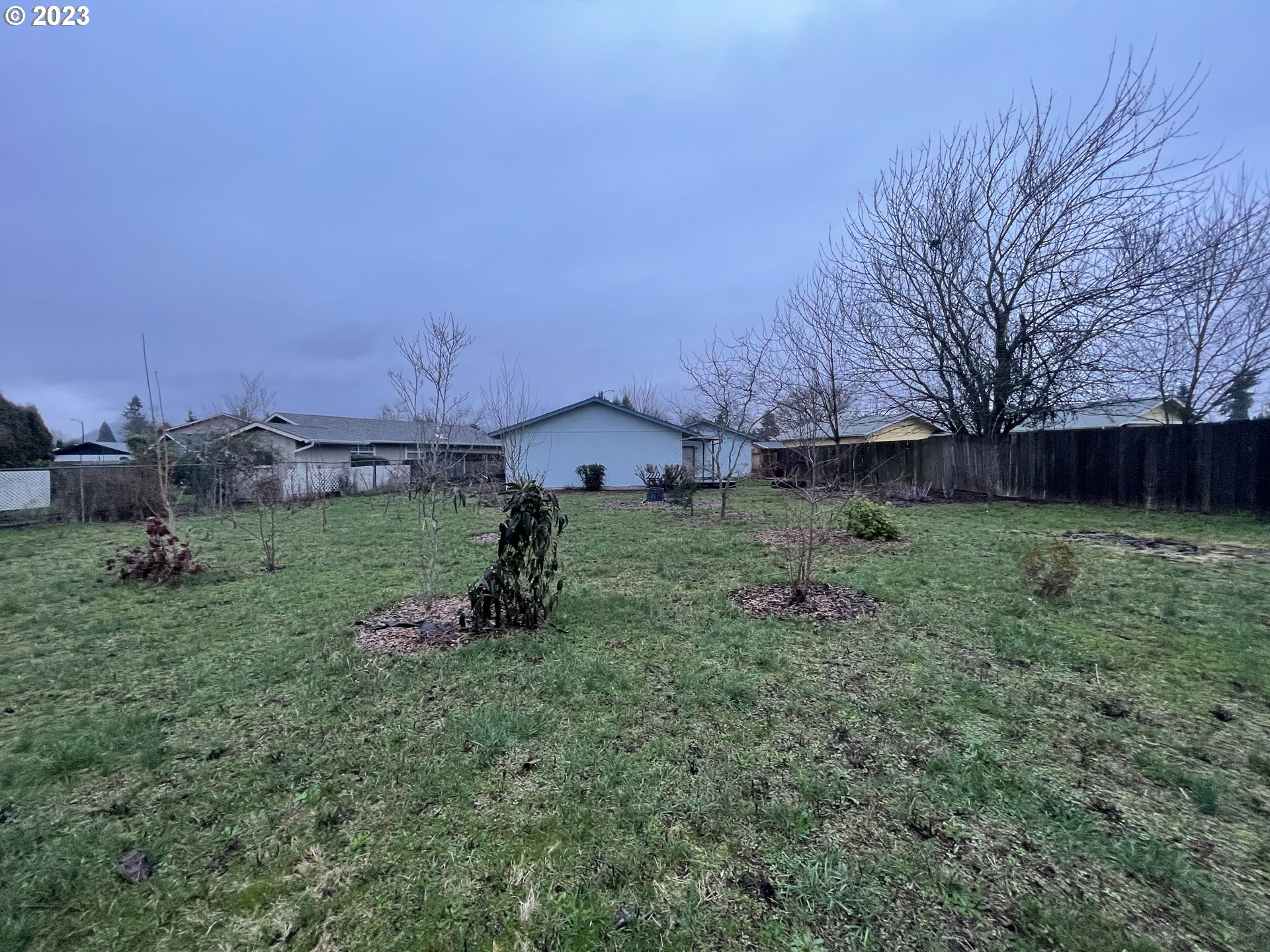 605 Northridge Avenue Springfield, OR 97477 - Photo 23 of 26 Backyard