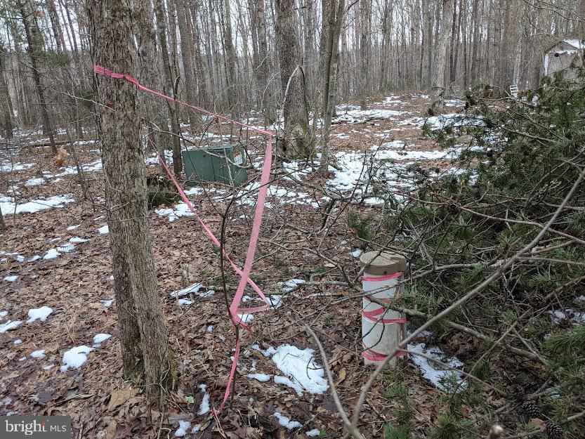 13040 Orange Plank Road Locust Grove, VA 22508 - Photo 11 of 11 Wellhead and electrical box