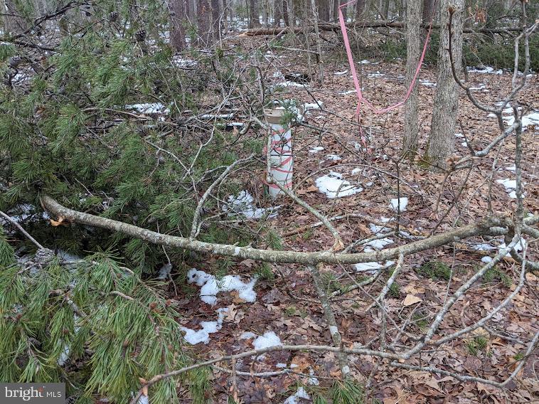 13040 Orange Plank Road Locust Grove, VA 22508 - Photo 10 of 11 Wellhead