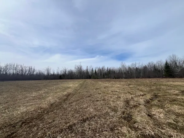 $169,000 | 11492 Maple Lane Road, Posen, MI 49776