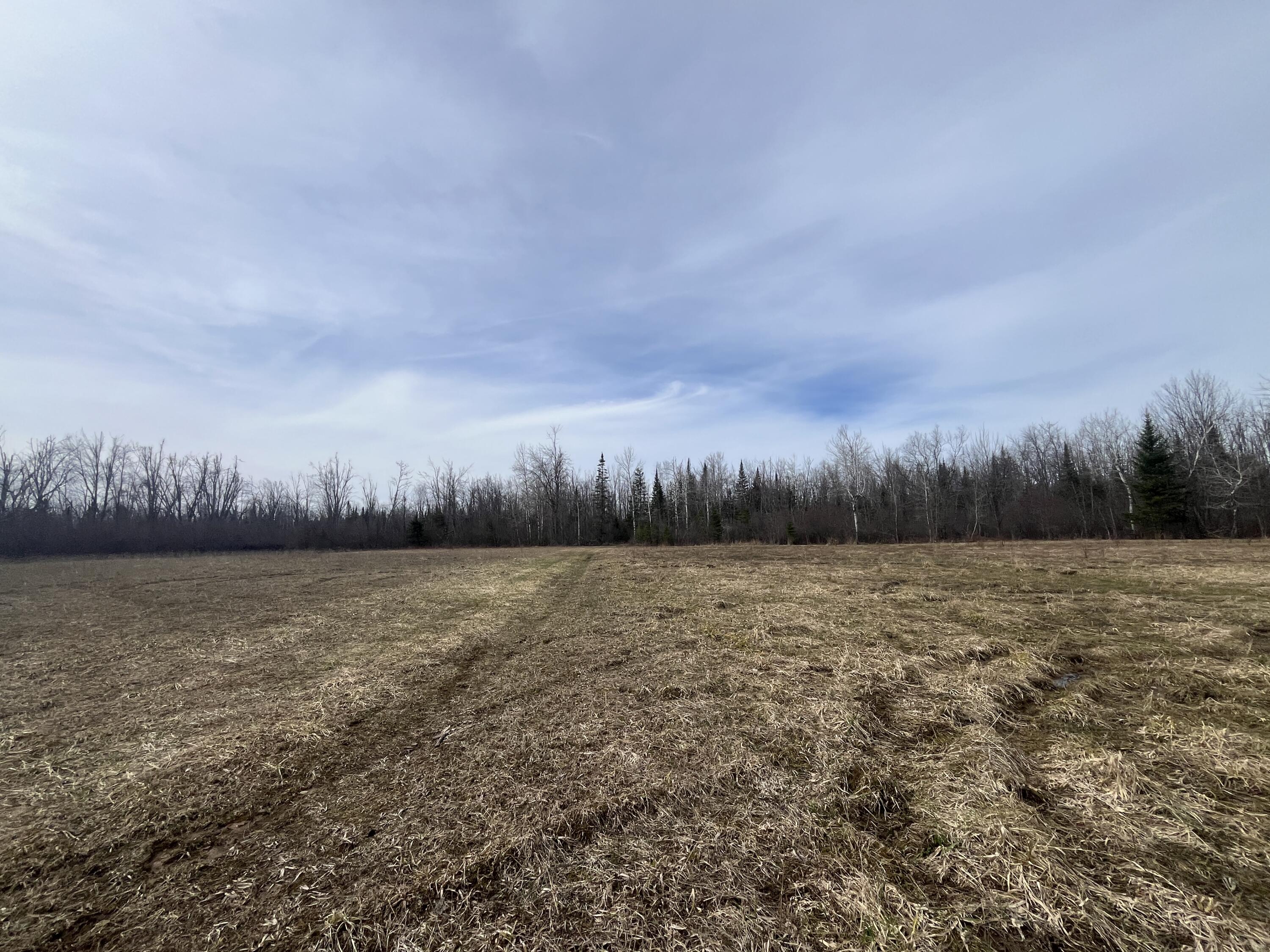 11492 Maple Lane Road Posen, MI 49776 - Photo 22 of 35 IMG_3922