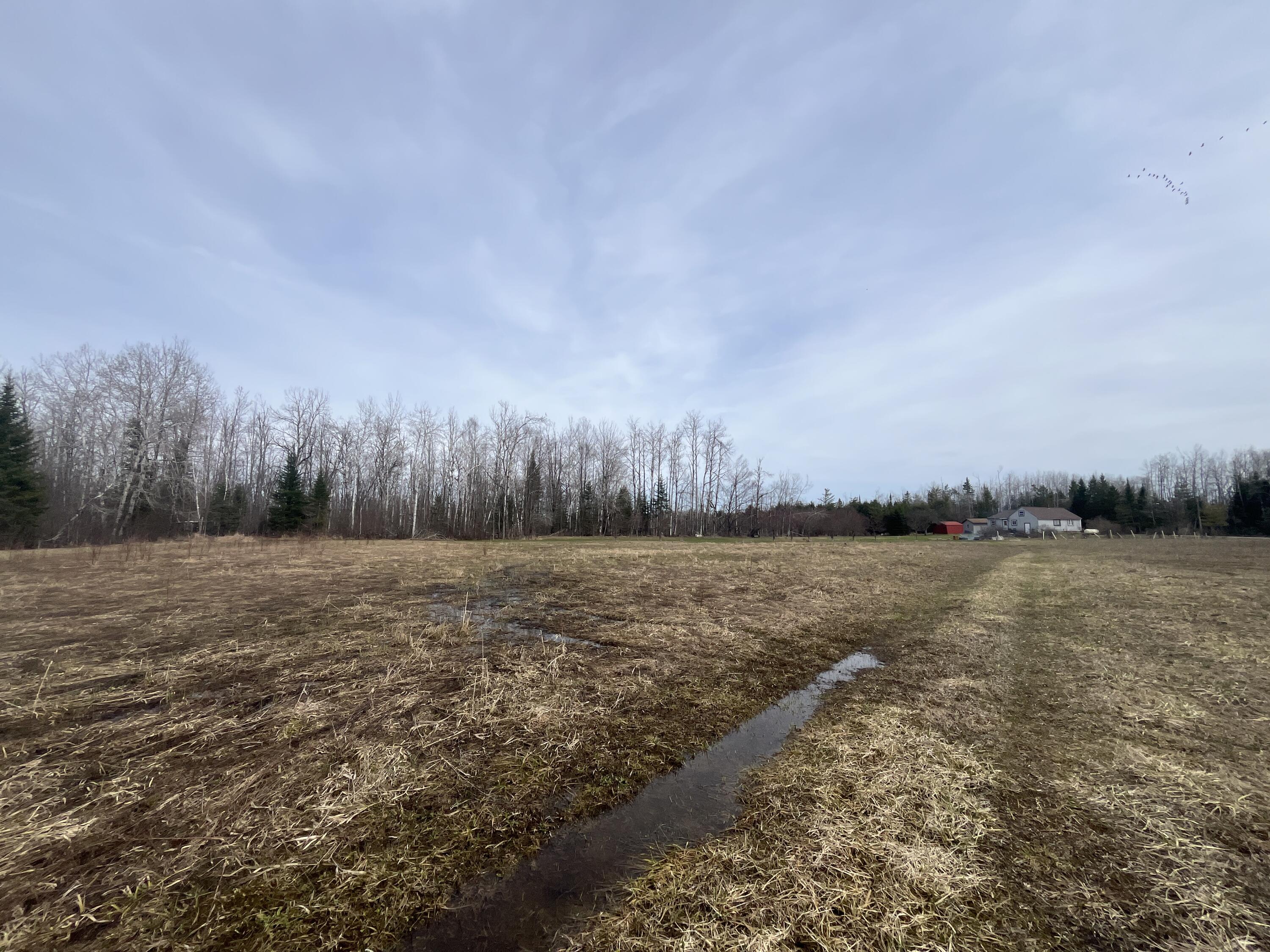 11492 Maple Lane Road Posen, MI 49776 - Photo 23 of 35 IMG_3926