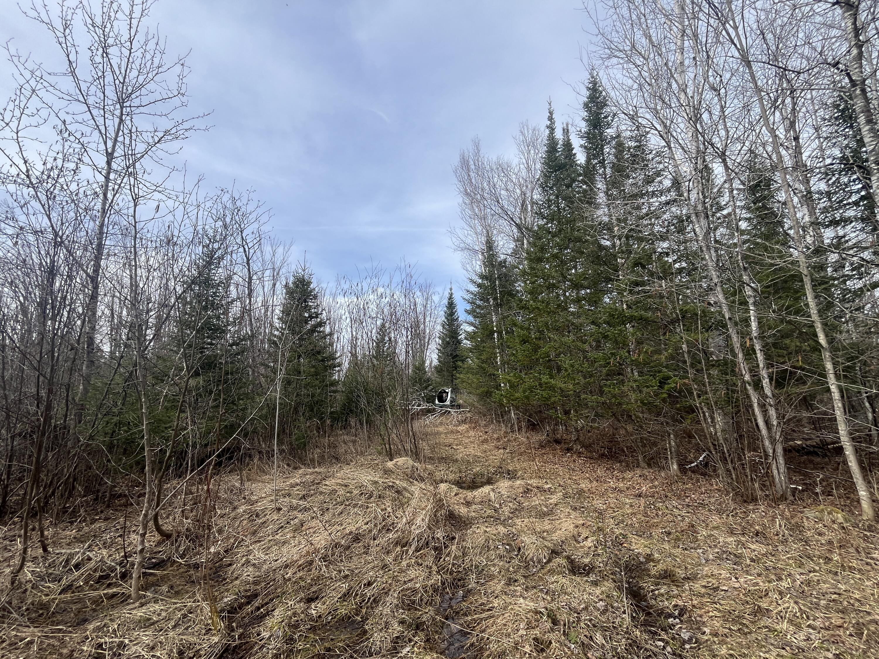 11492 Maple Lane Road Posen, MI 49776 - Photo 24 of 35 IMG_3928