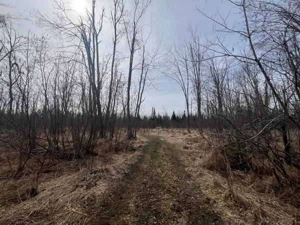 $169,000 | 11492 Maple Lane Road, Posen, MI 49776
