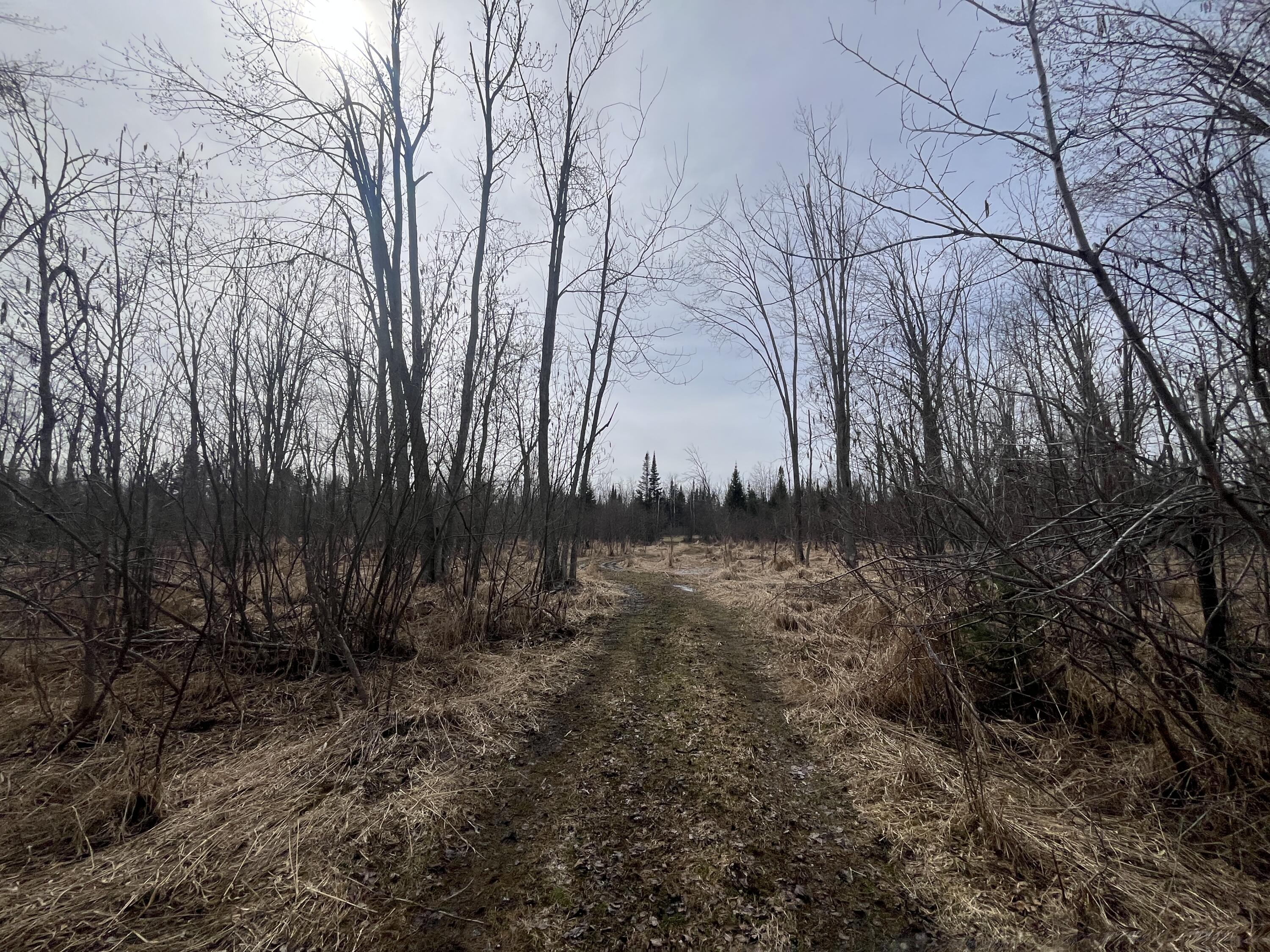 11492 Maple Lane Road Posen, MI 49776 - Photo 25 of 35 IMG_3929