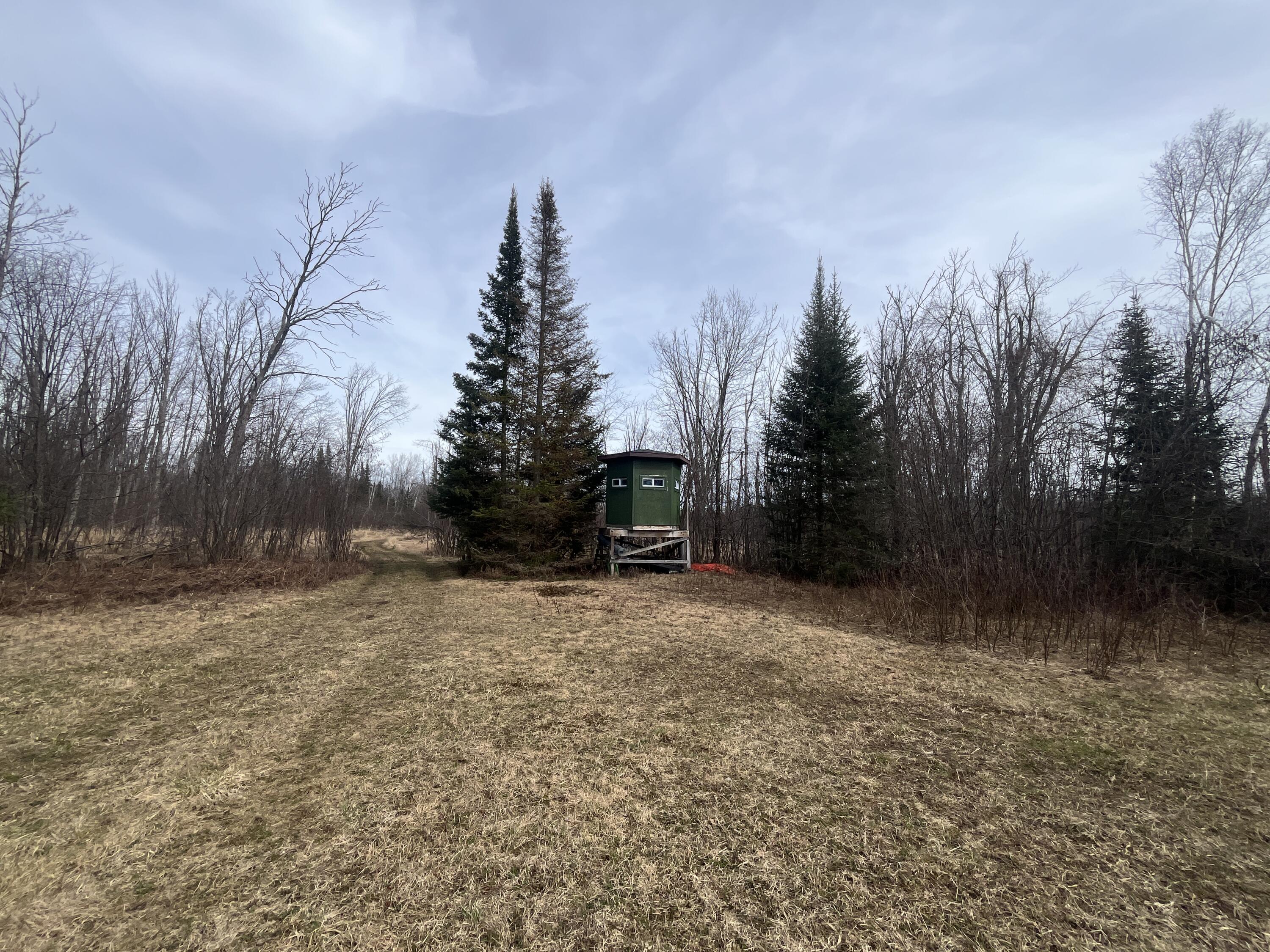 11492 Maple Lane Road Posen, MI 49776 - Photo 26 of 35 IMG_3930