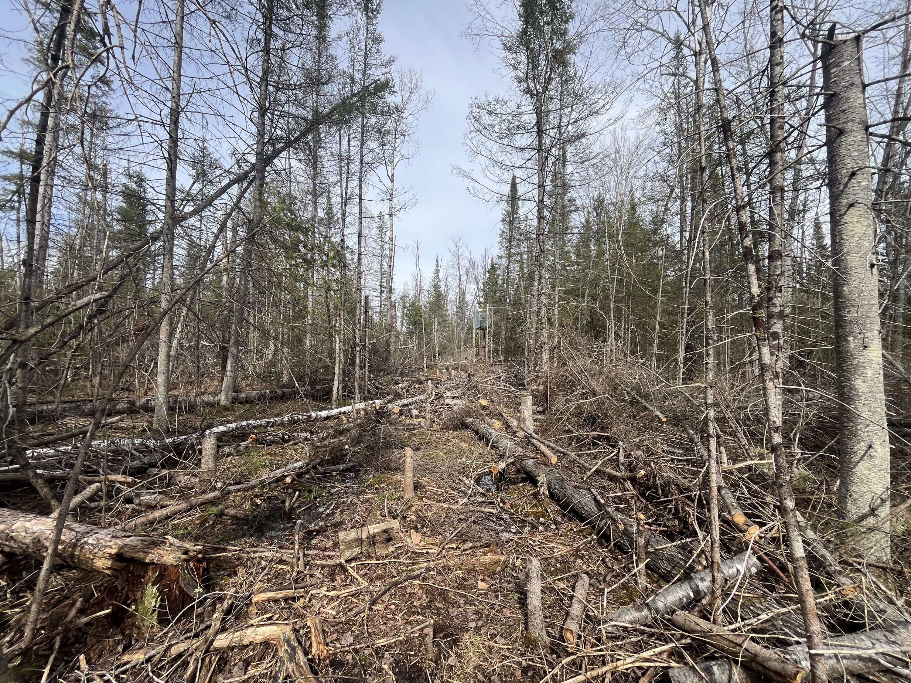 11492 Maple Lane Road Posen, MI 49776 - Photo 27 of 35 IMG_3937