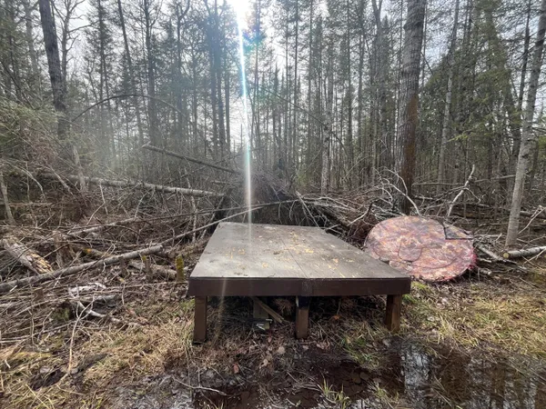 $169,000 | 11492 Maple Lane Road, Posen, MI 49776