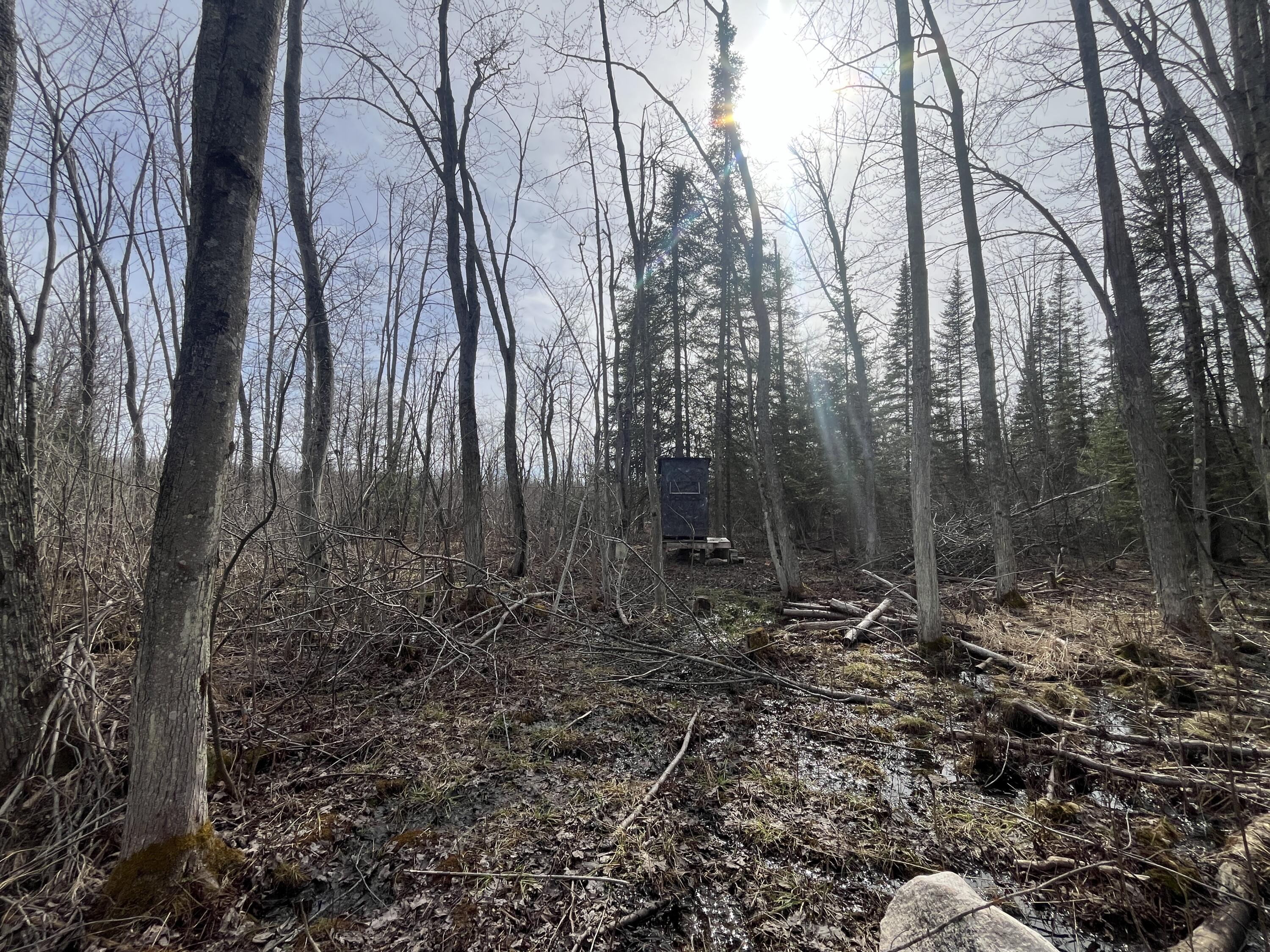 11492 Maple Lane Road Posen, MI 49776 - Photo 30 of 35 IMG_3945