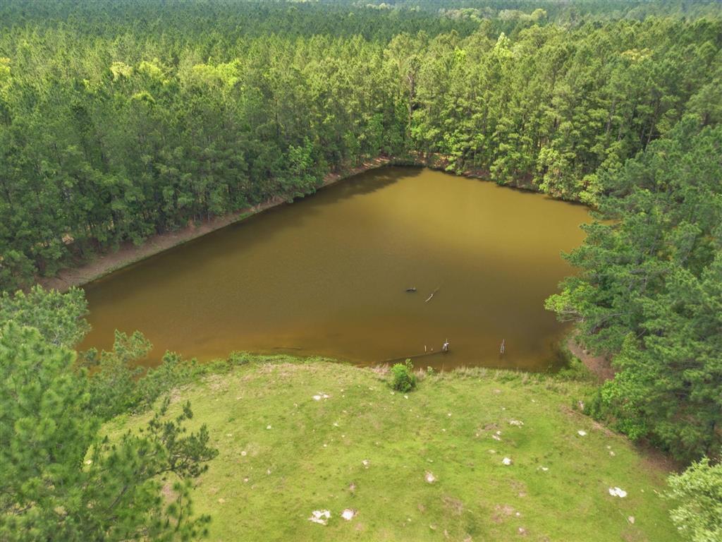 1379 Panhandle Road Dequincy, LA 70633 - Photo 30 of 35