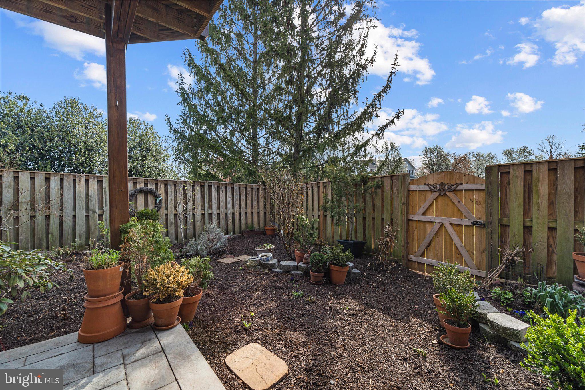 43451 Livery Square Ashburn, VA 20147 - Photo 41 of 51 a backyard of a house with lots of green space