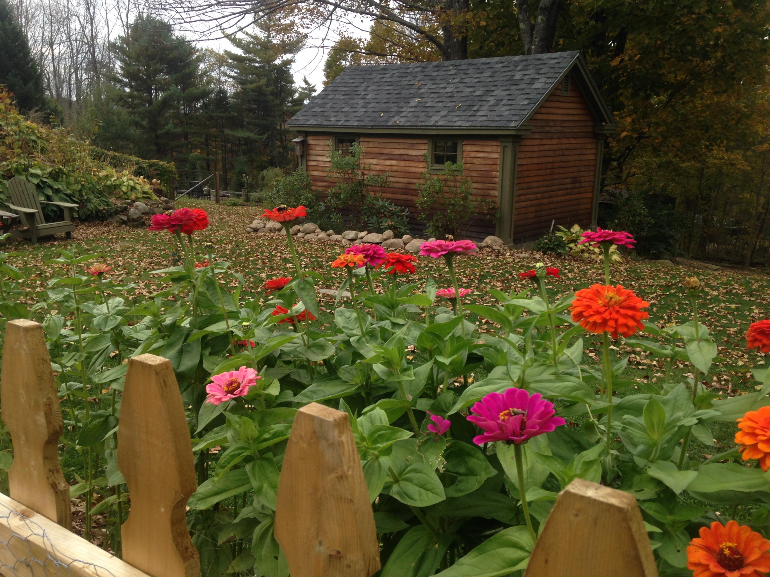 584 Ridge Road Windsor, ME 04363 - Photo 51 of 56 flowers
