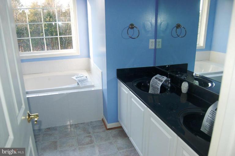 22508 Lahore Road Orange, VA 22960 - Photo 9 of 20 Master Bath