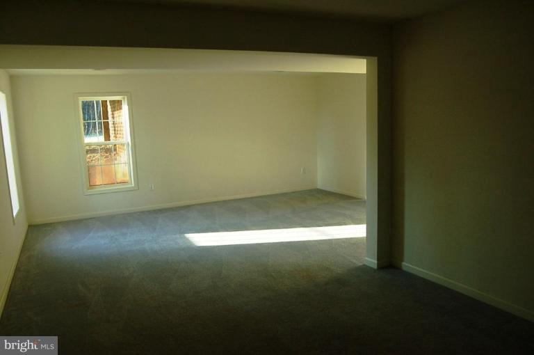 22508 Lahore Road Orange, VA 22960 - Photo 10 of 20 Basement #1