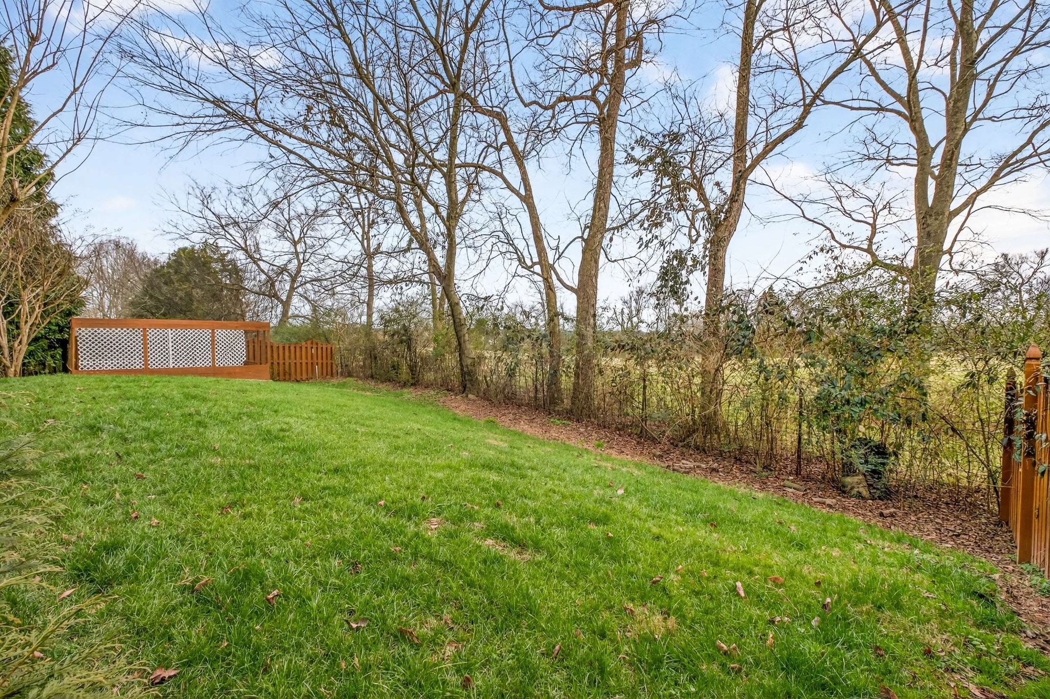 1012 Belcor Drive Spring Hill, TN 37174 - Photo 35 of 40 a view of a backyard with large trees