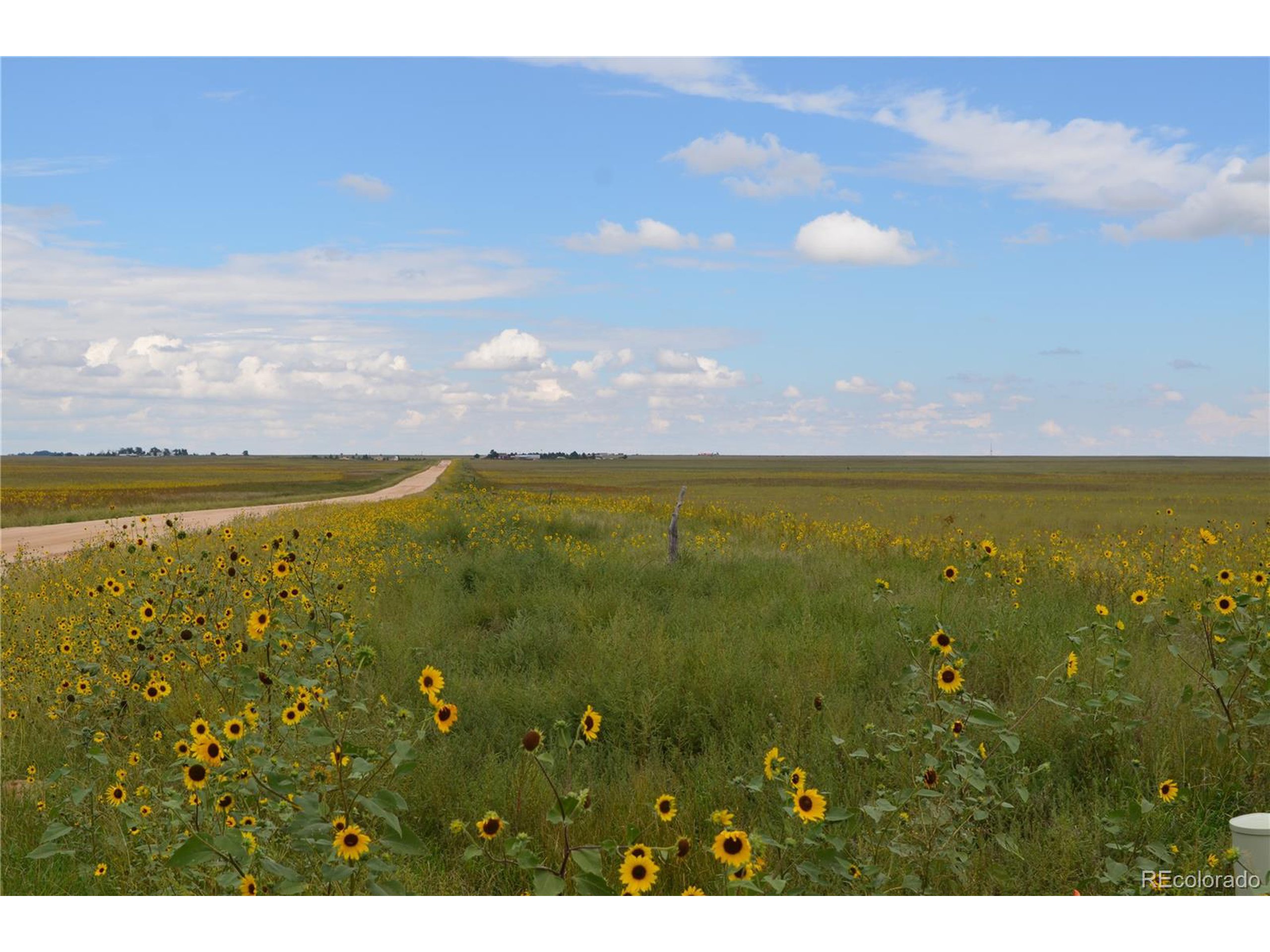 a view of an ocean and beach