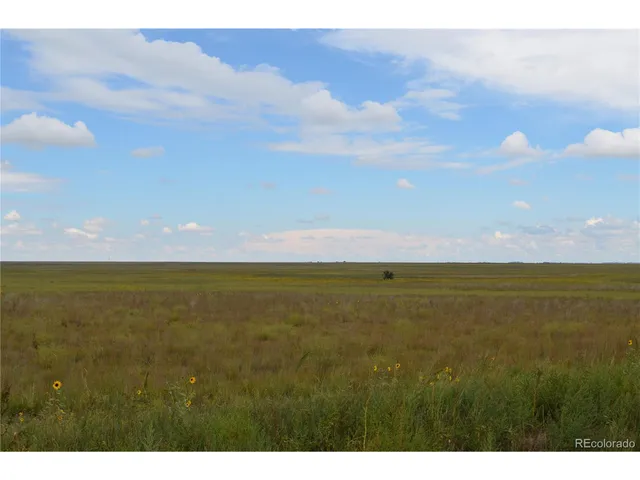 a view of an ocean and beach
