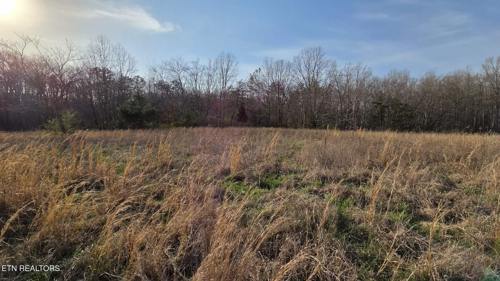 West End Road Rockwood, TN 37854 - Photo 3 of 5 pic 3