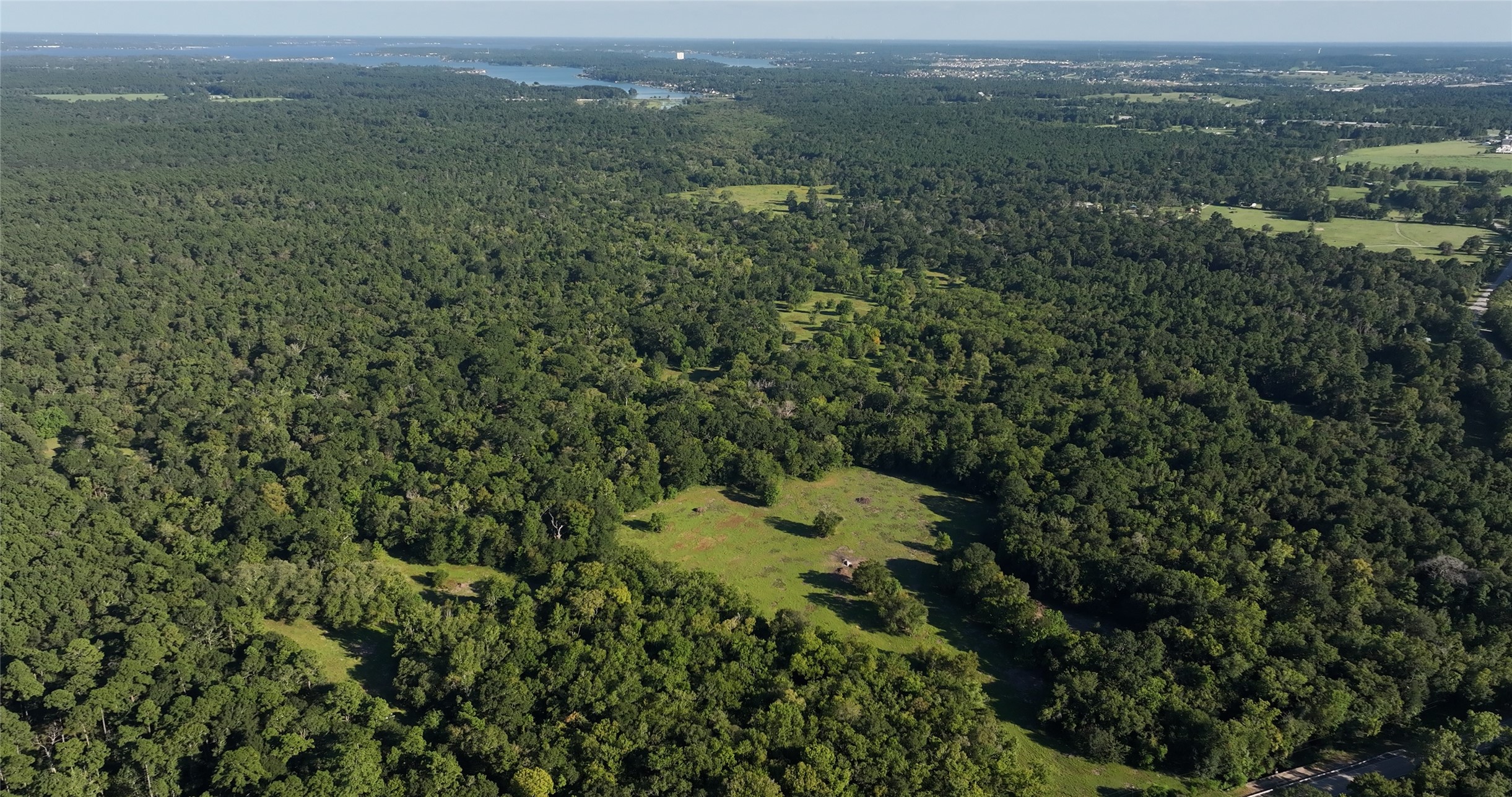 149 Rd Montgomery Tx 77356 Road Montgomery, TX 77356 - Photo 12 of 15