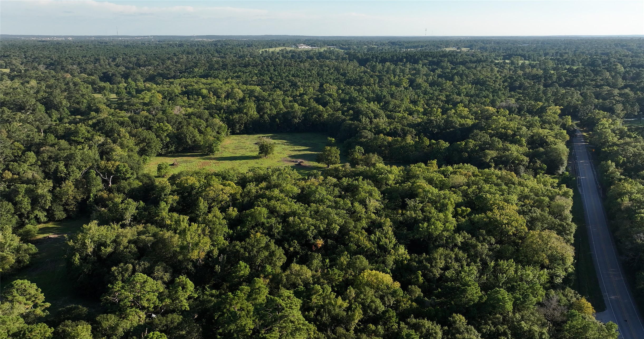 149 Rd Montgomery Tx 77356 Road Montgomery, TX 77356 - Photo 13 of 15