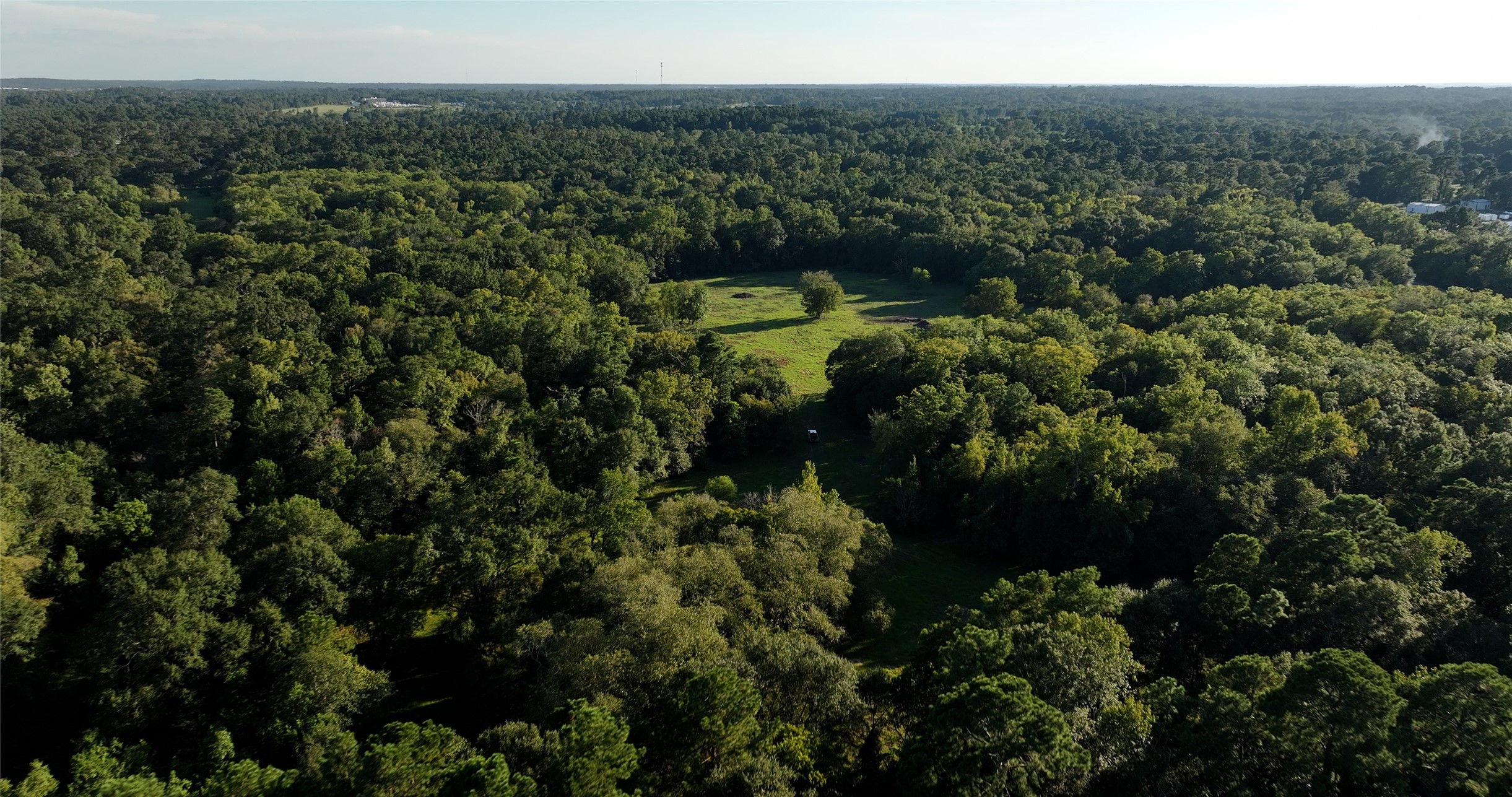 149 Rd Montgomery Tx 77356 Road Montgomery, TX 77356 - Photo 3 of 15