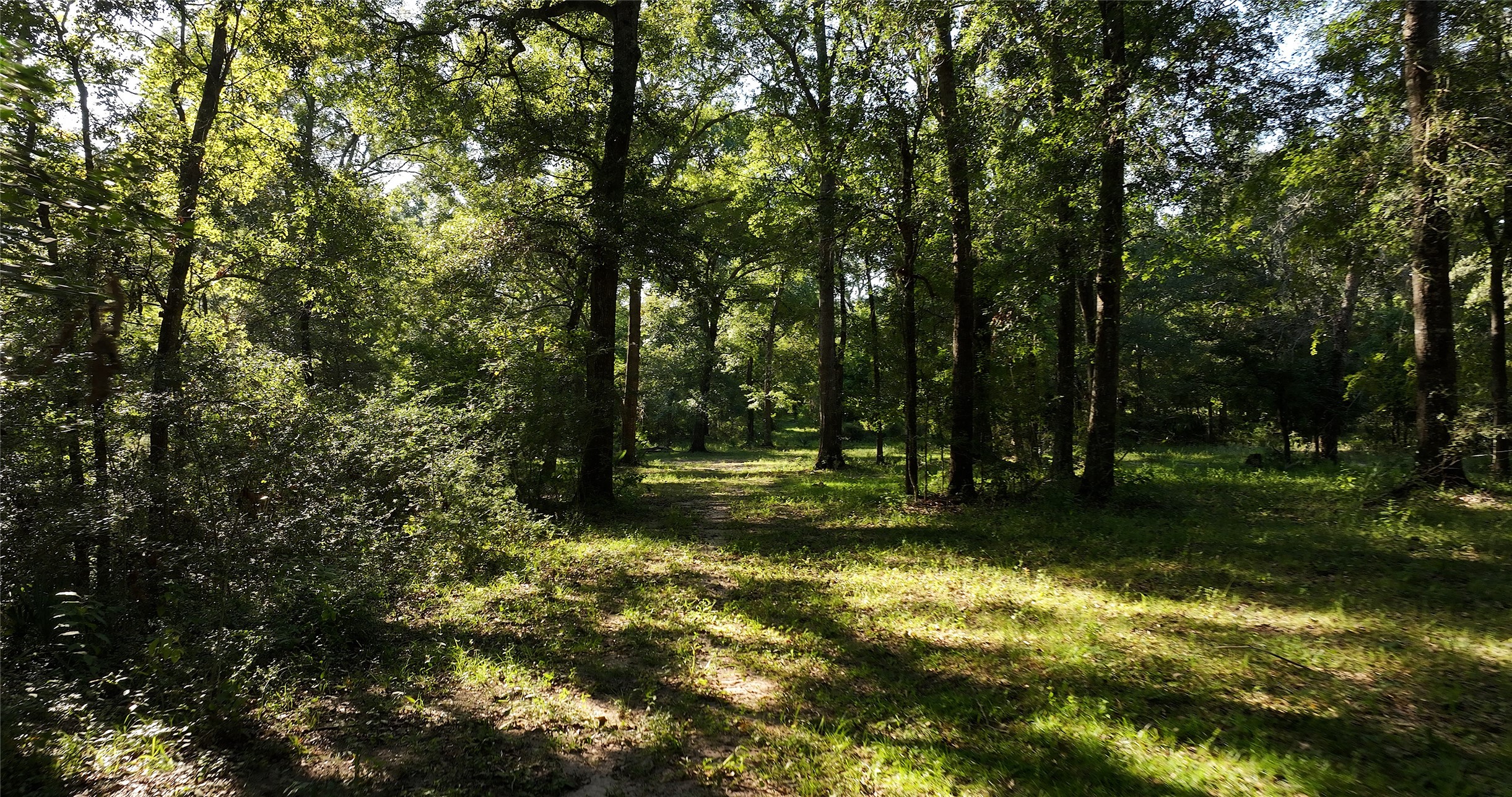 149 Rd Montgomery Tx 77356 Road Montgomery, TX 77356 - Photo 4 of 15