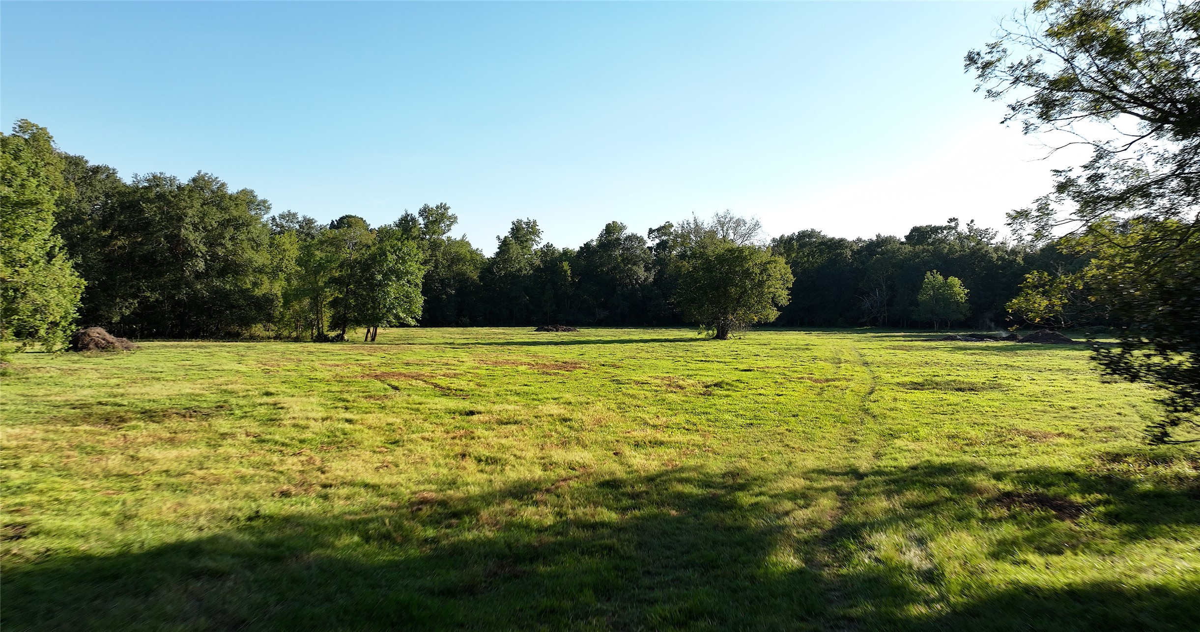 149 Rd Montgomery Tx 77356 Road Montgomery, TX 77356 - Photo 5 of 15