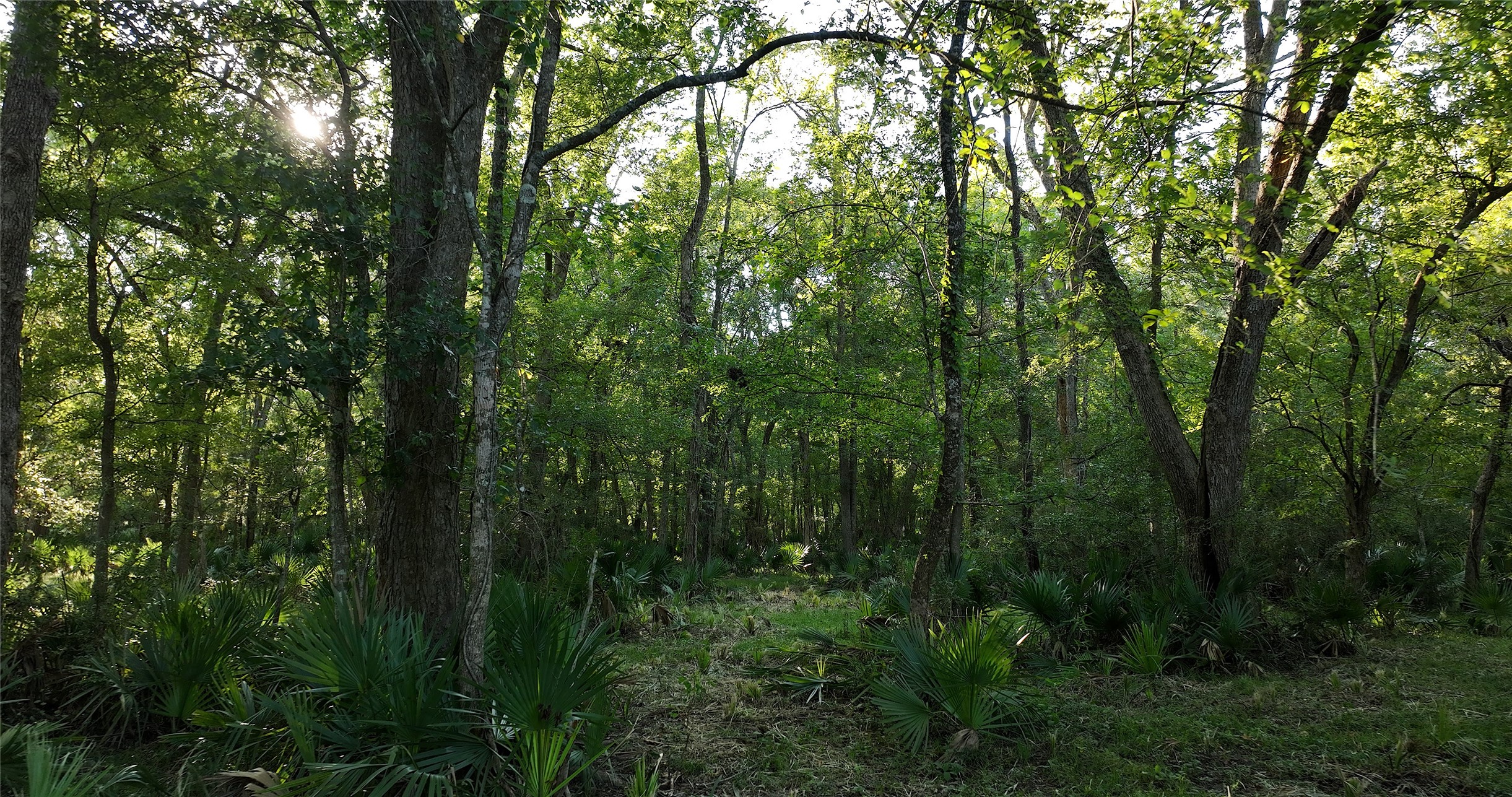 149 Rd Montgomery Tx 77356 Road Montgomery, TX 77356 - Photo 7 of 15