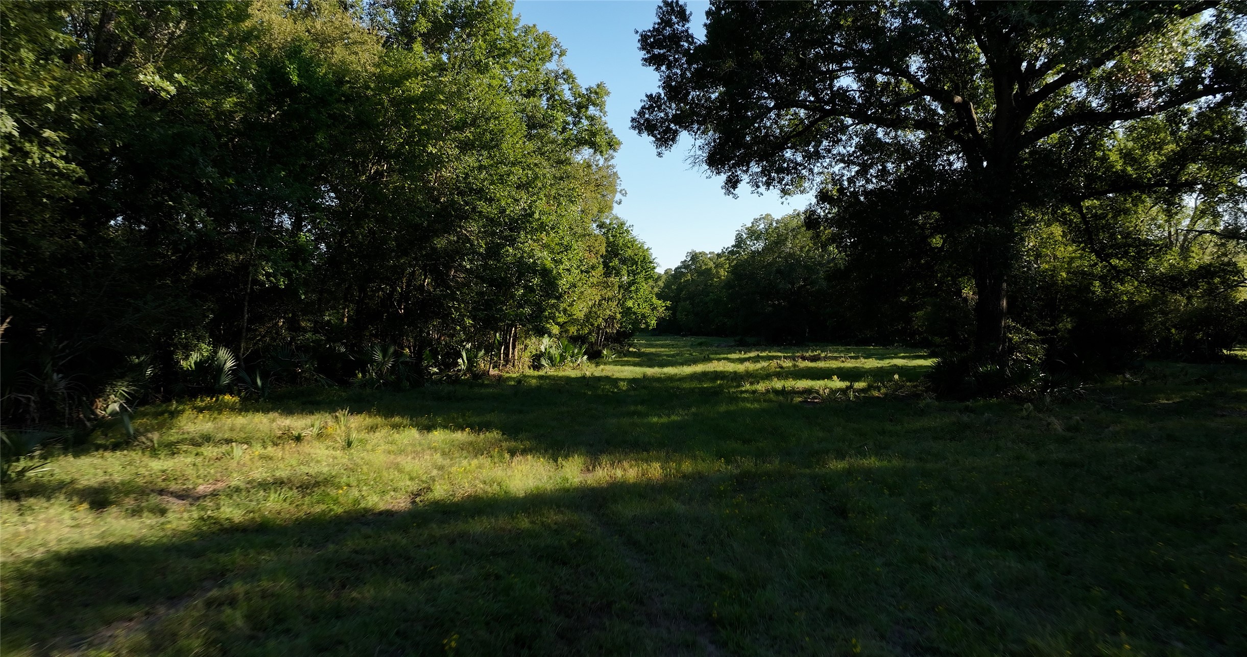 149 Rd Montgomery Tx 77356 Road Montgomery, TX 77356 - Photo 8 of 15