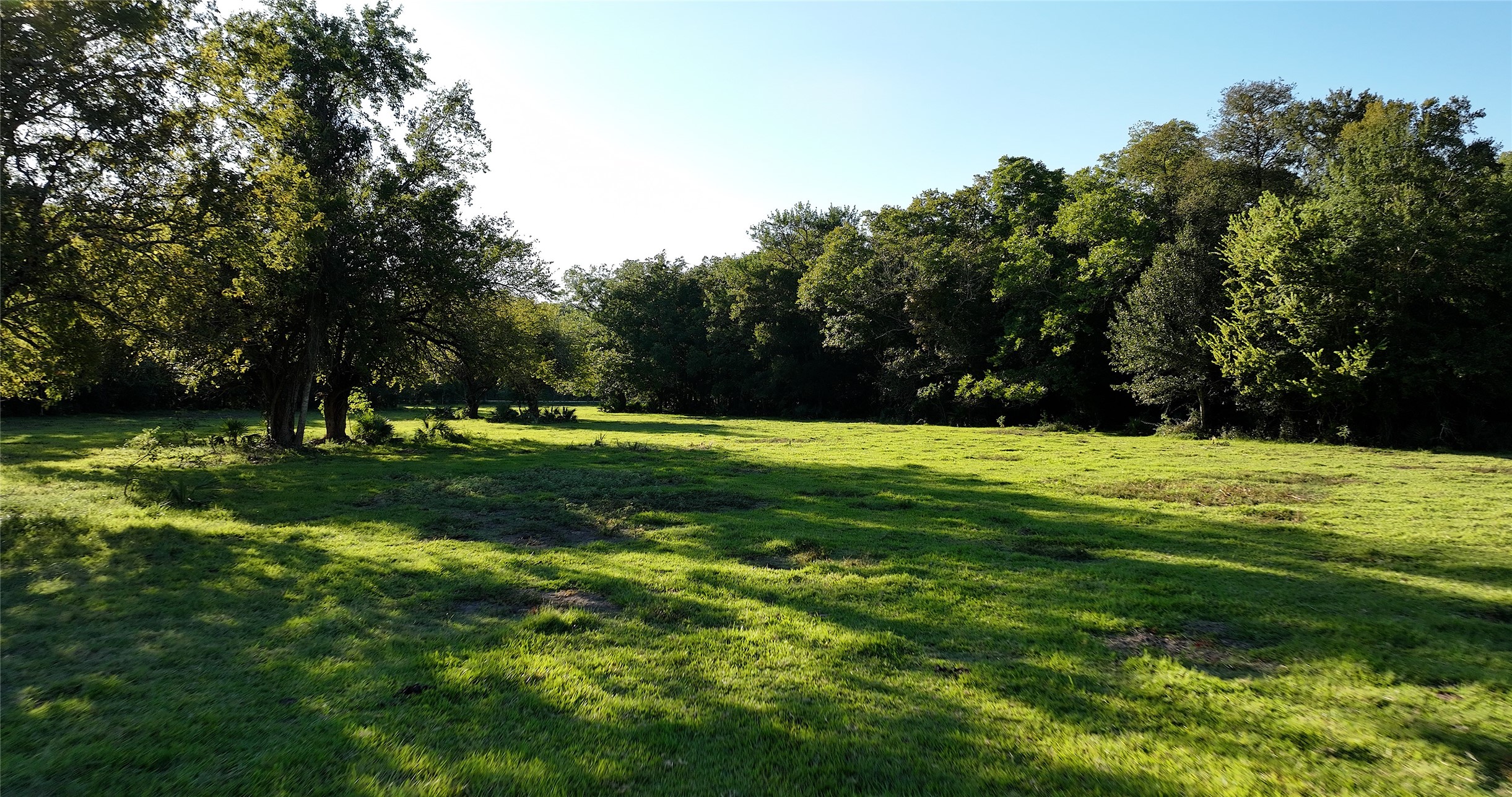 149 Rd Montgomery Tx 77356 Road Montgomery, TX 77356 - Photo 9 of 15