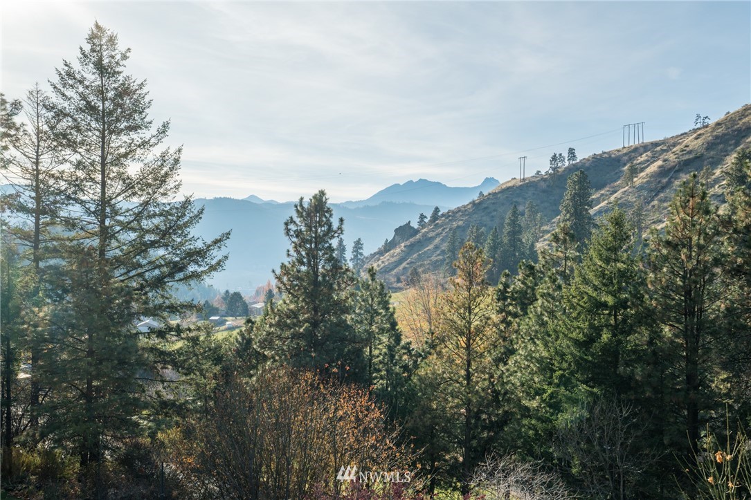 7185 Forest Service 7410 Road Cashmere, WA 98815 - Photo 25 of 25 Gallery Image 25