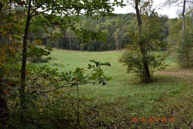 196 Lacy Road Stanton, KY 40380 - Photo 49 of 55 Photo 49