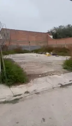 a view of a dry yard with wooden fence