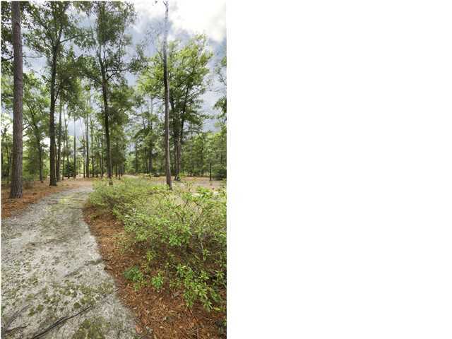 6428 Bears Bluff Road Wadmalaw Island, SC 29487 - Photo 2 of 24 Additional Photo