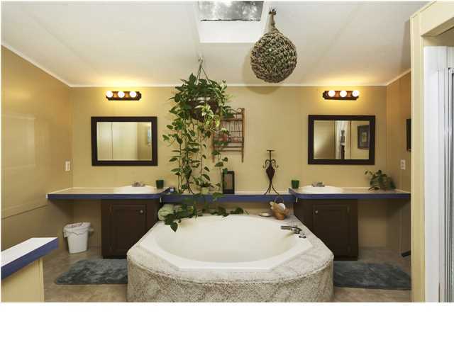 6428 Bears Bluff Road Wadmalaw Island, SC 29487 - Photo 12 of 24 Additional Photo