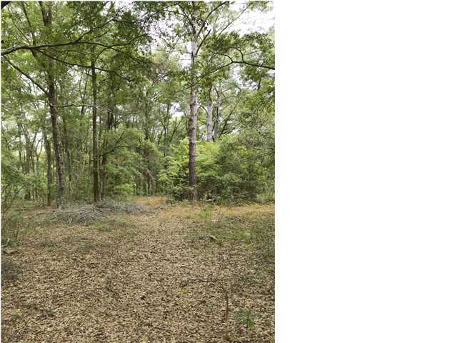6428 Bears Bluff Road Wadmalaw Island, SC 29487 - Photo 20 of 24 Additional Photo