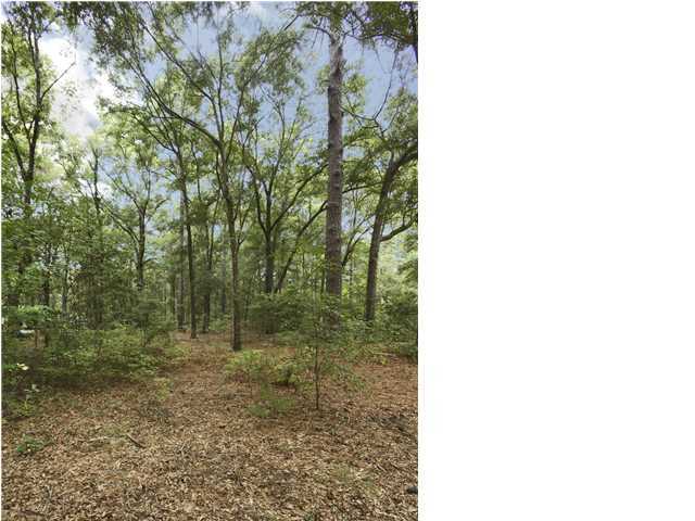 6428 Bears Bluff Road Wadmalaw Island, SC 29487 - Photo 21 of 24 Additional Photo