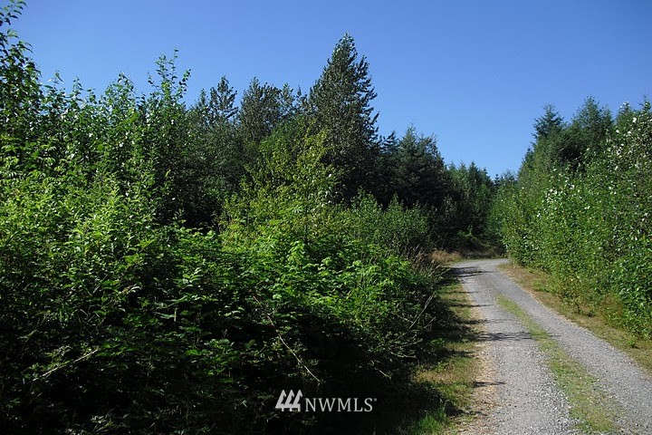 0 North Carpenter Road, Unit LOT 5 Snohomish, WA 98290 - Photo 1 of 1 Gallery Image 1